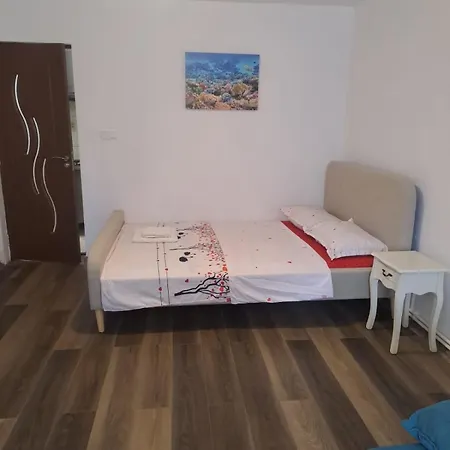 Strada Banu Mihalcea Nr. 150 Σπίτι διακοπών