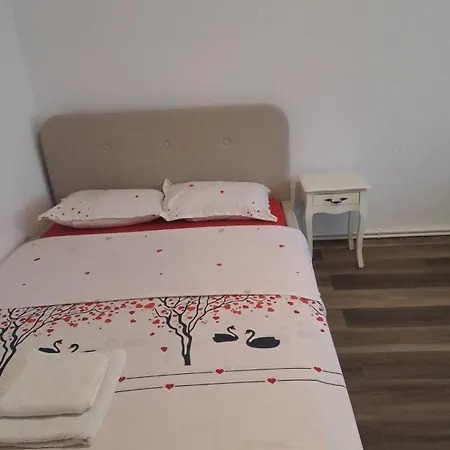 Strada Banu Mihalcea Nr. 150 Σπίτι διακοπών